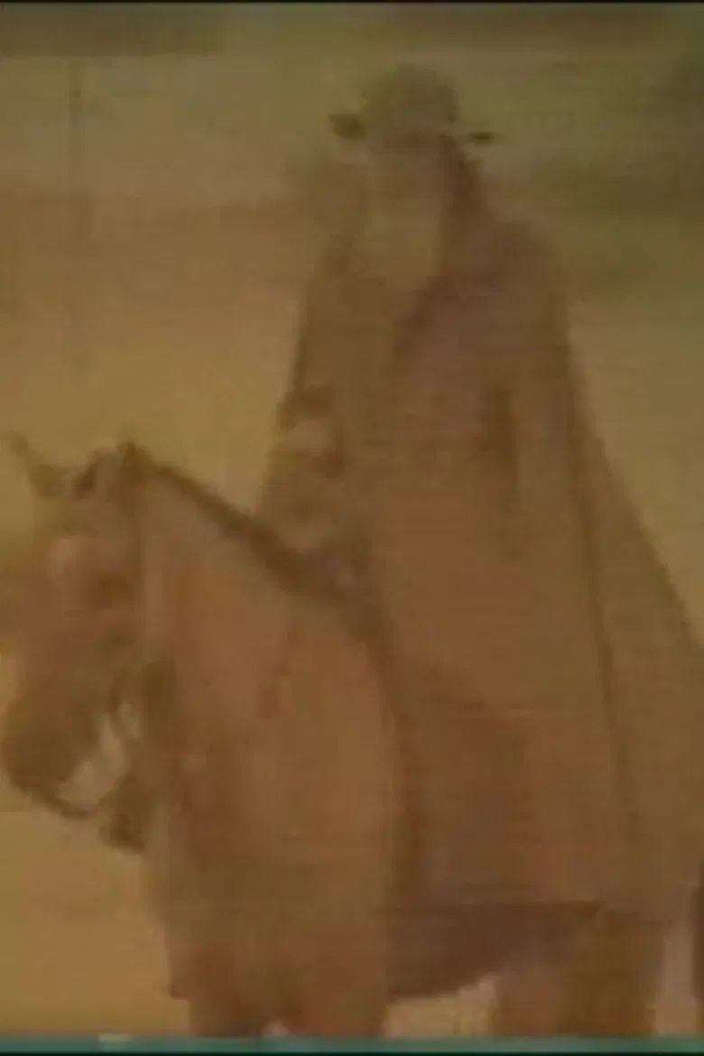 Homenagem a Manuelzão poster background