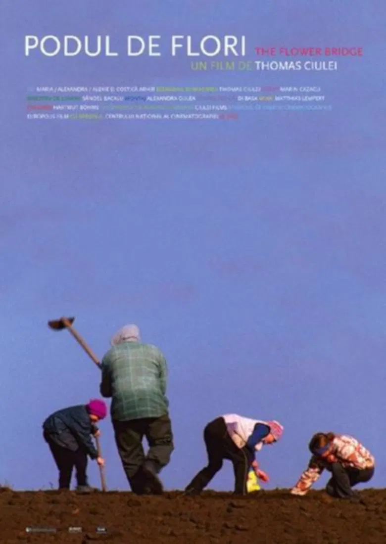 The Flower Bridge poster background