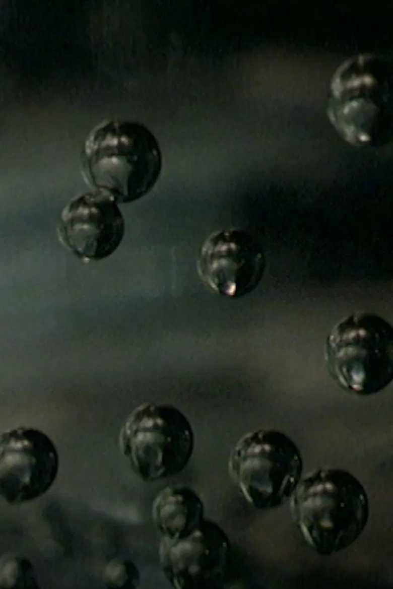 The Salariat in Parts poster background