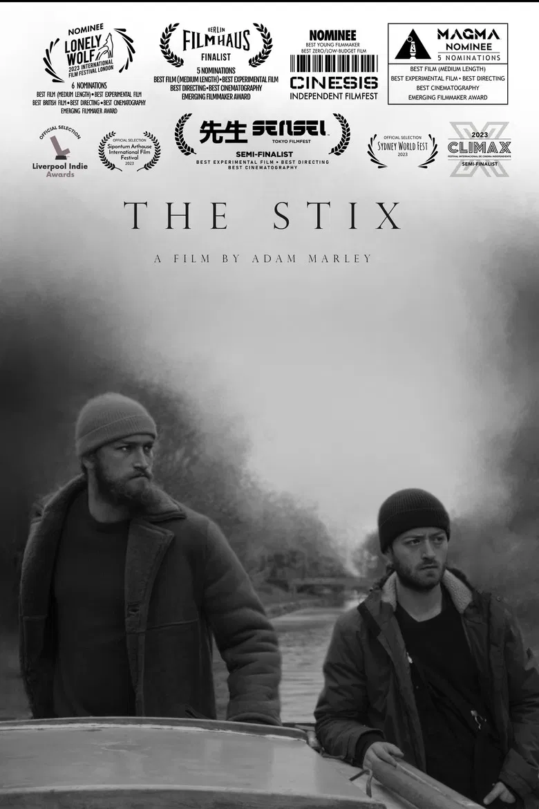 The Stix poster background