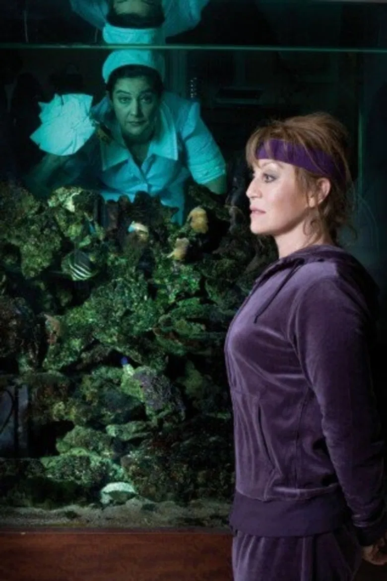 The Turkey poster background