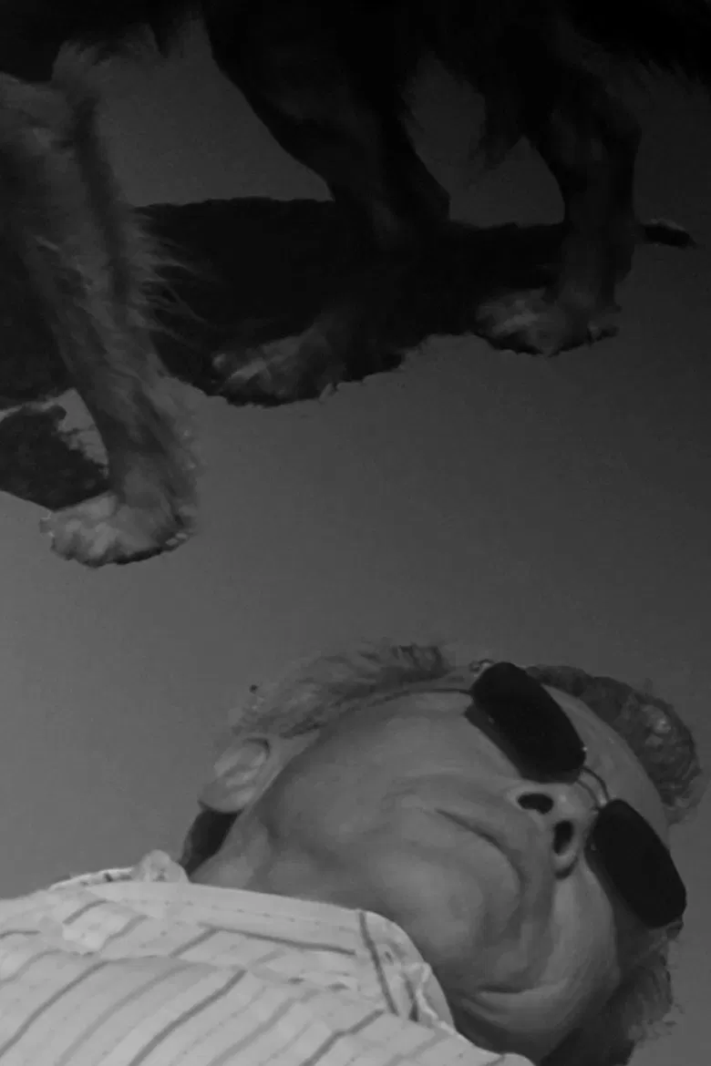 Warning Shot poster background