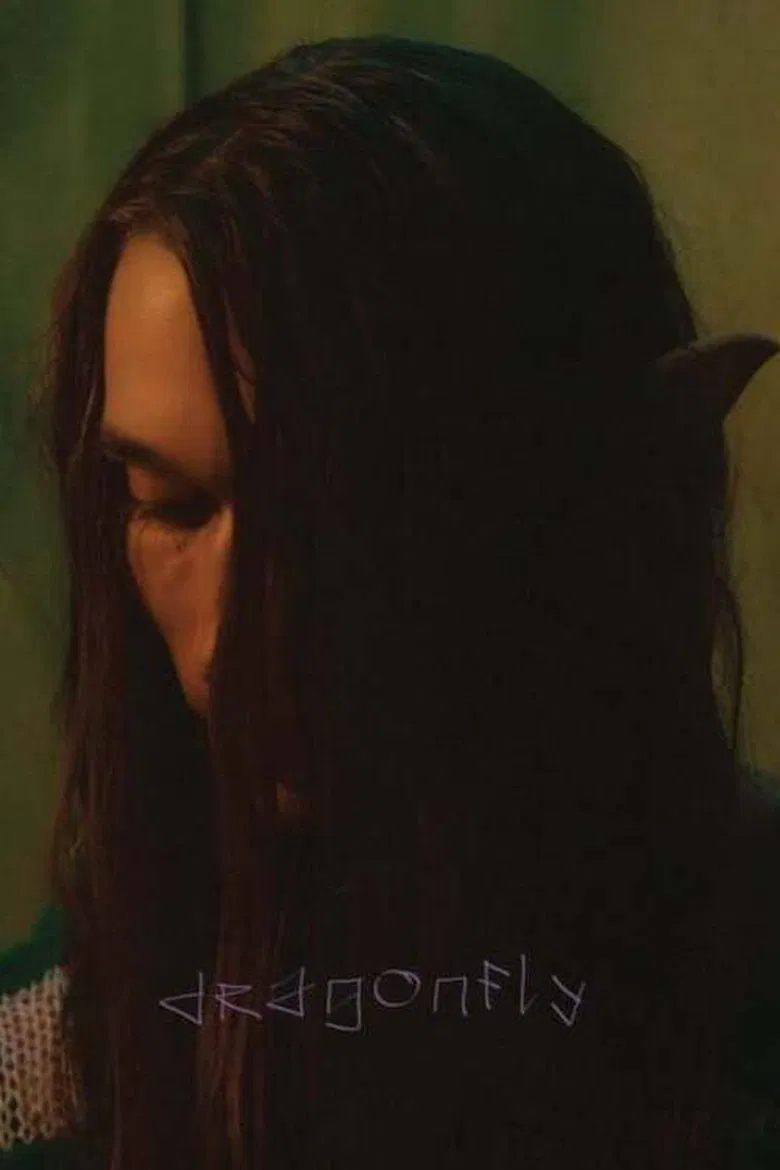 Dragonfly poster background