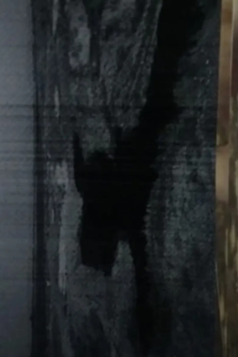 beach poster background