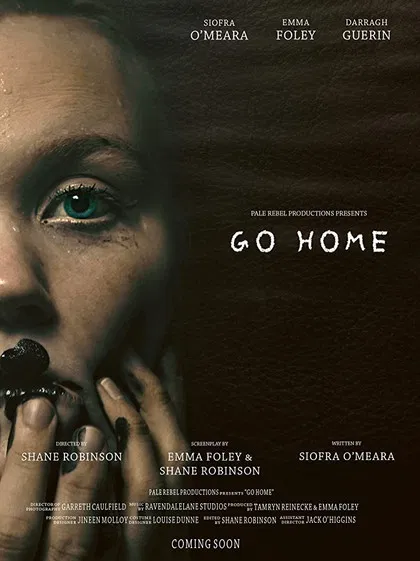 Go Home poster background