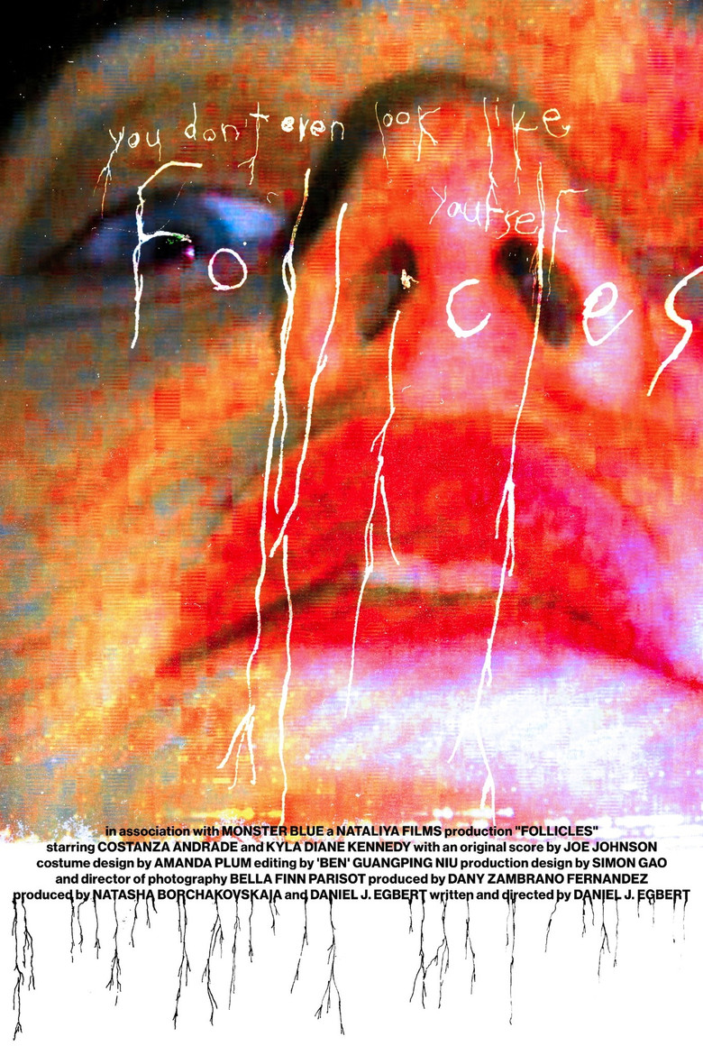 FOLLICLES poster background