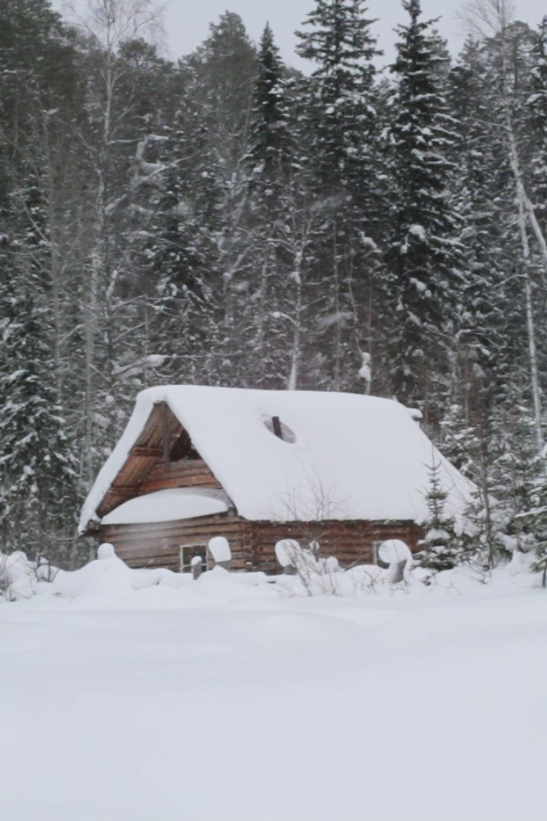 Ivan's Ladder poster background