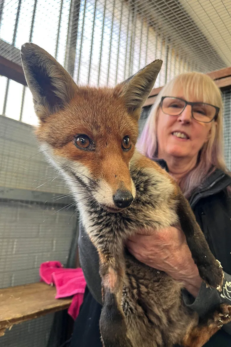 Secrets of the Southwest: Science Behind the Secrets poster background