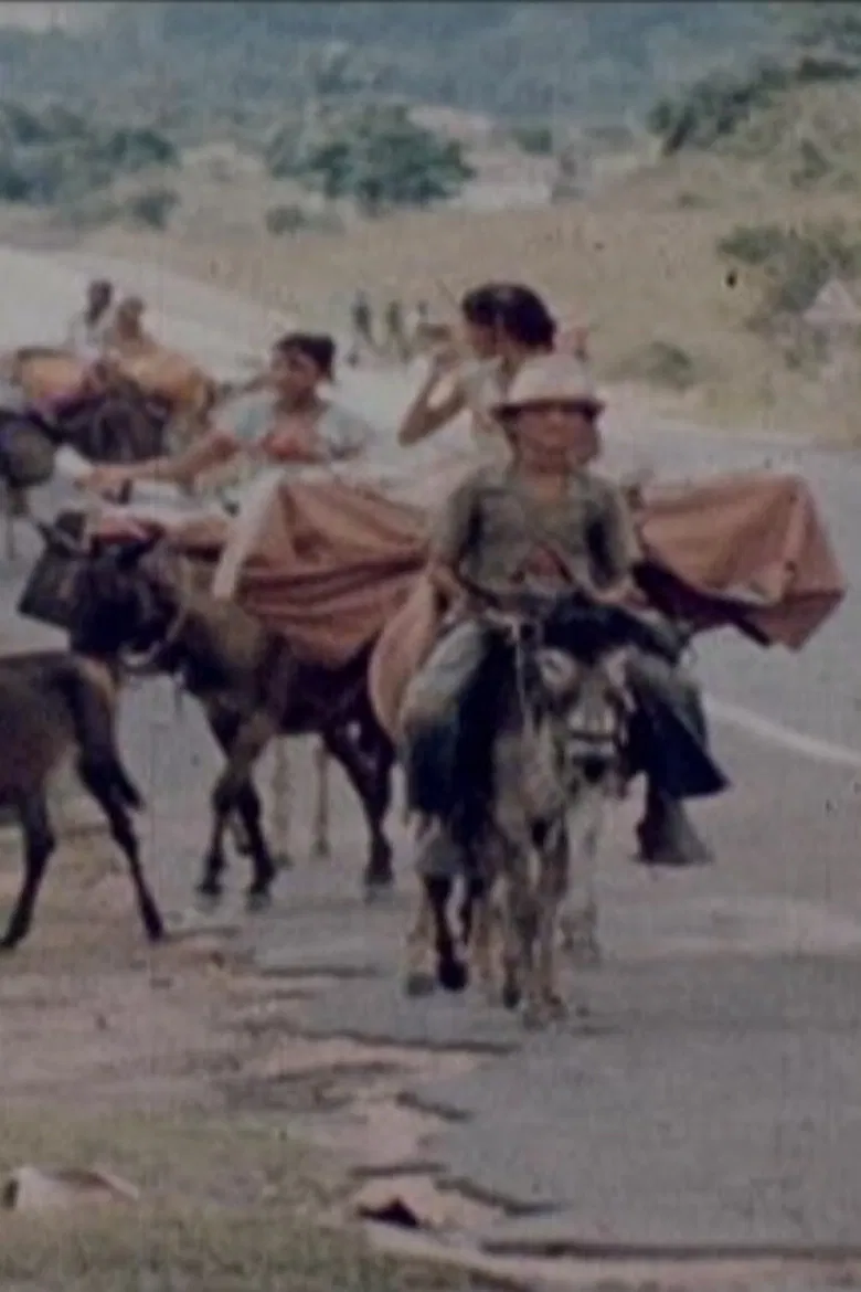 Ciganos do Nordeste poster background