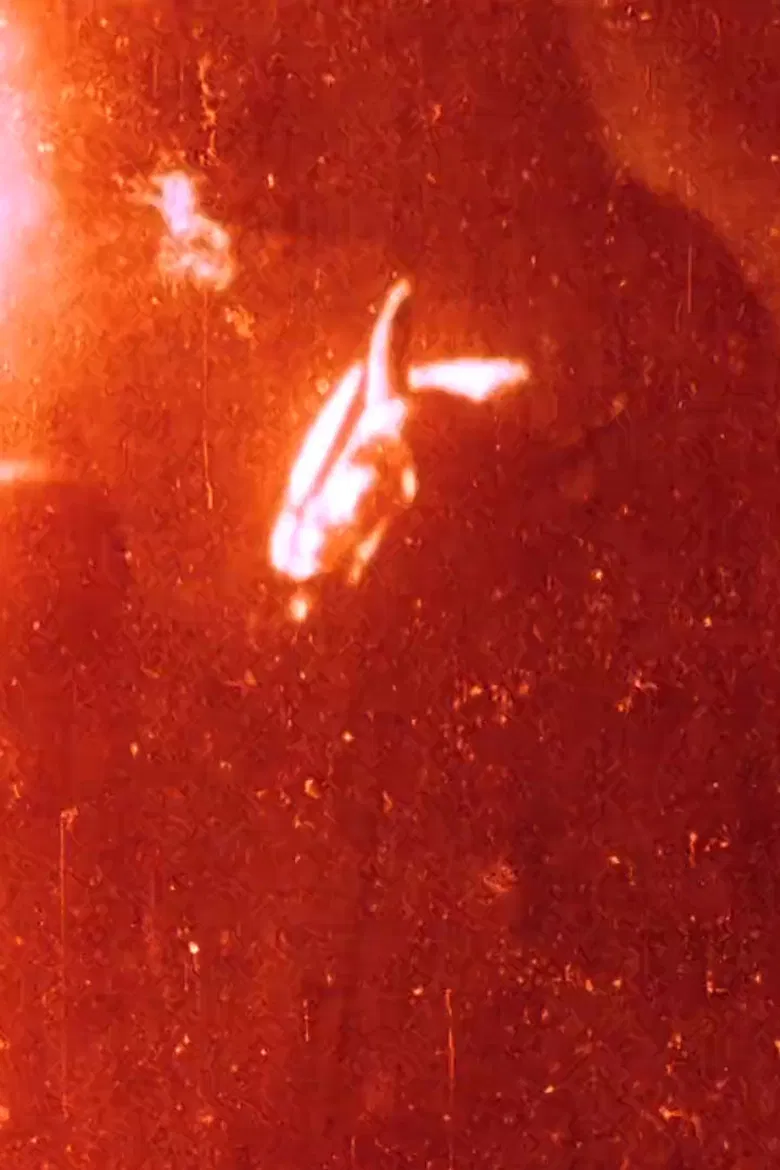 1+1+1 poster background