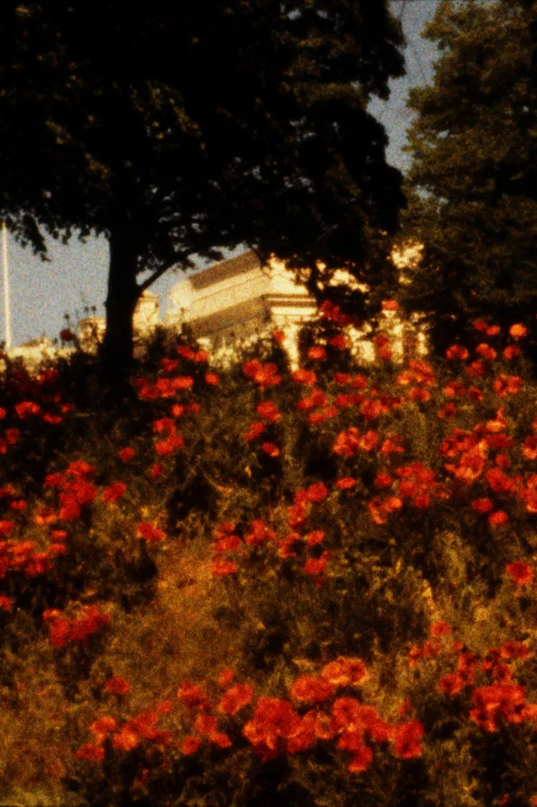 The Road to Kalmar poster background