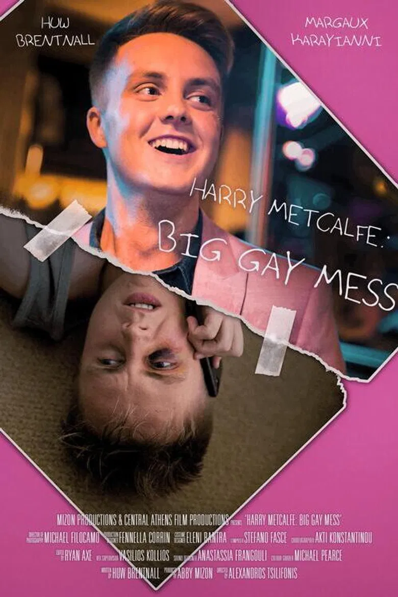 Harry Metcalfe: Big Gay Mess poster background