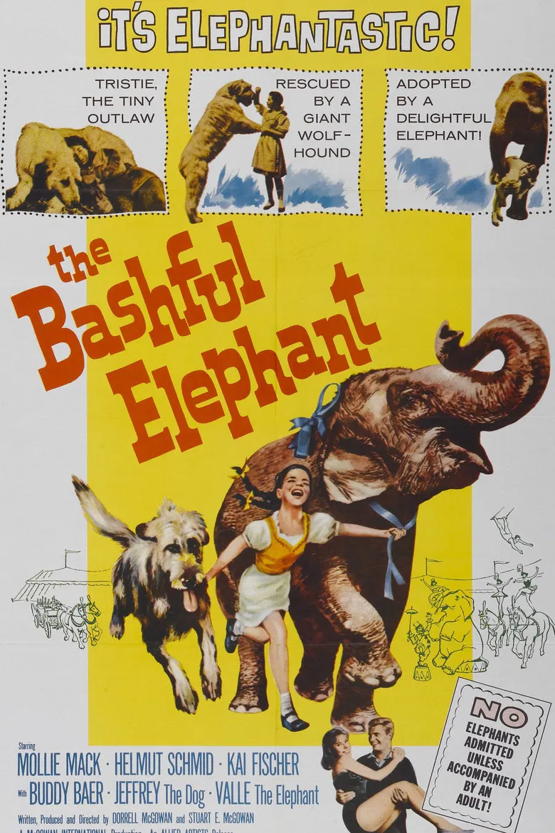 The Bashful Elephant poster background