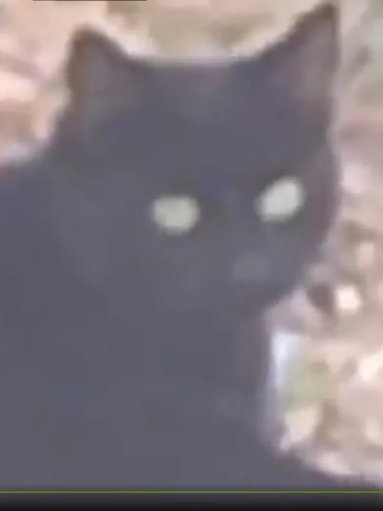 The Gaze poster background