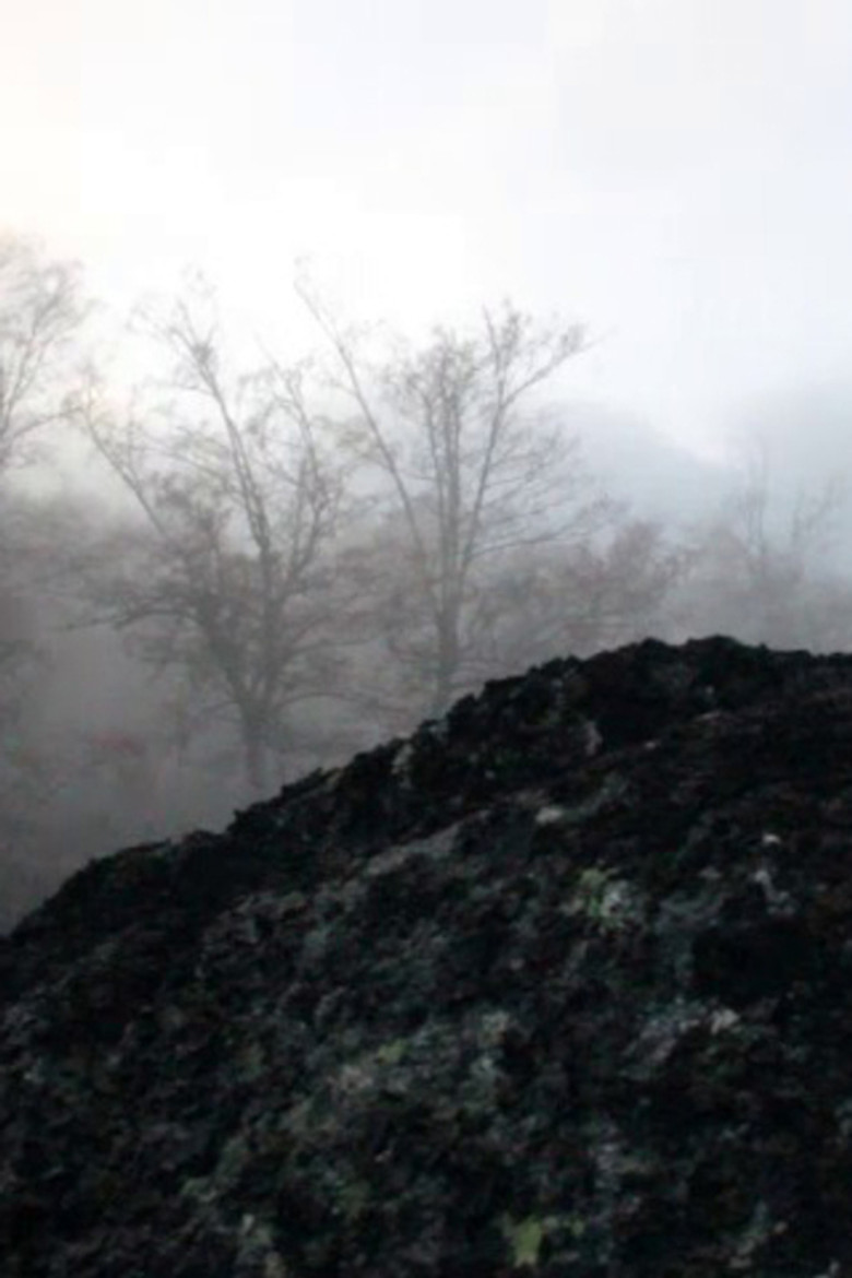 O Rio poster background