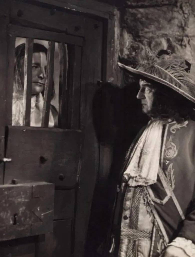 The Black Tulip poster background