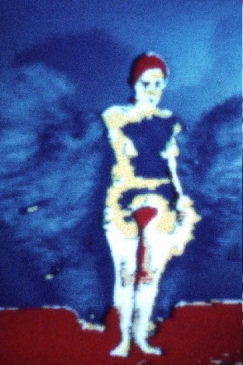 Butterfly poster background