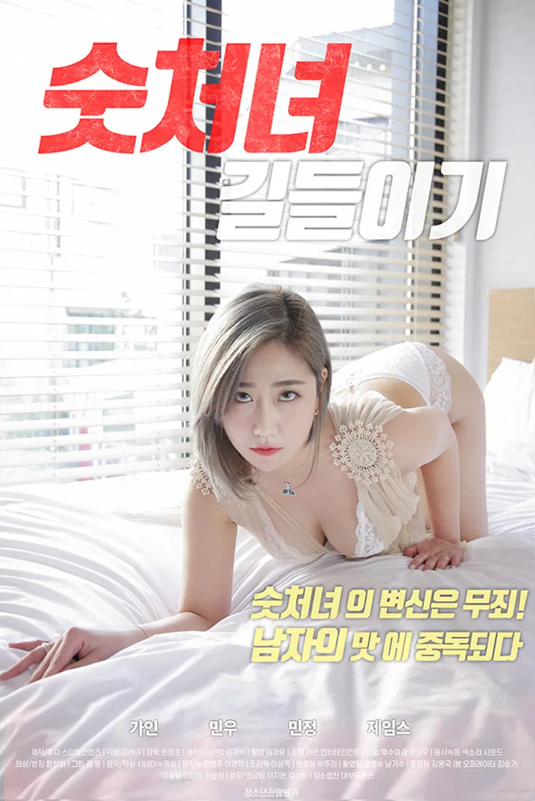 Domesticating Virgin poster background