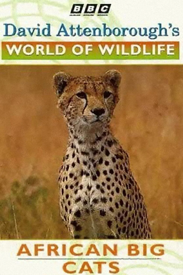 World of Wildlife: African Big Cats poster background