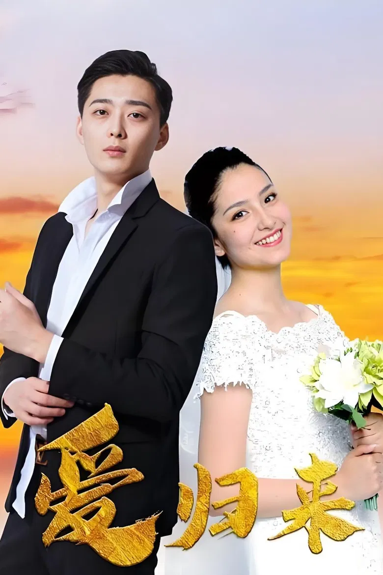 爱归来 poster background