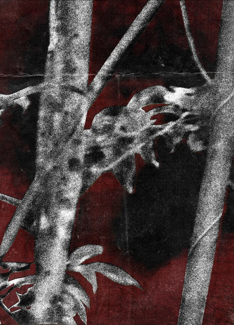 Ruídos Do Cerne poster background