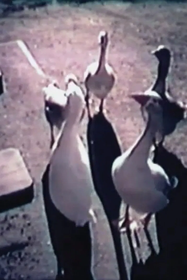 Music Of Your Own poster background