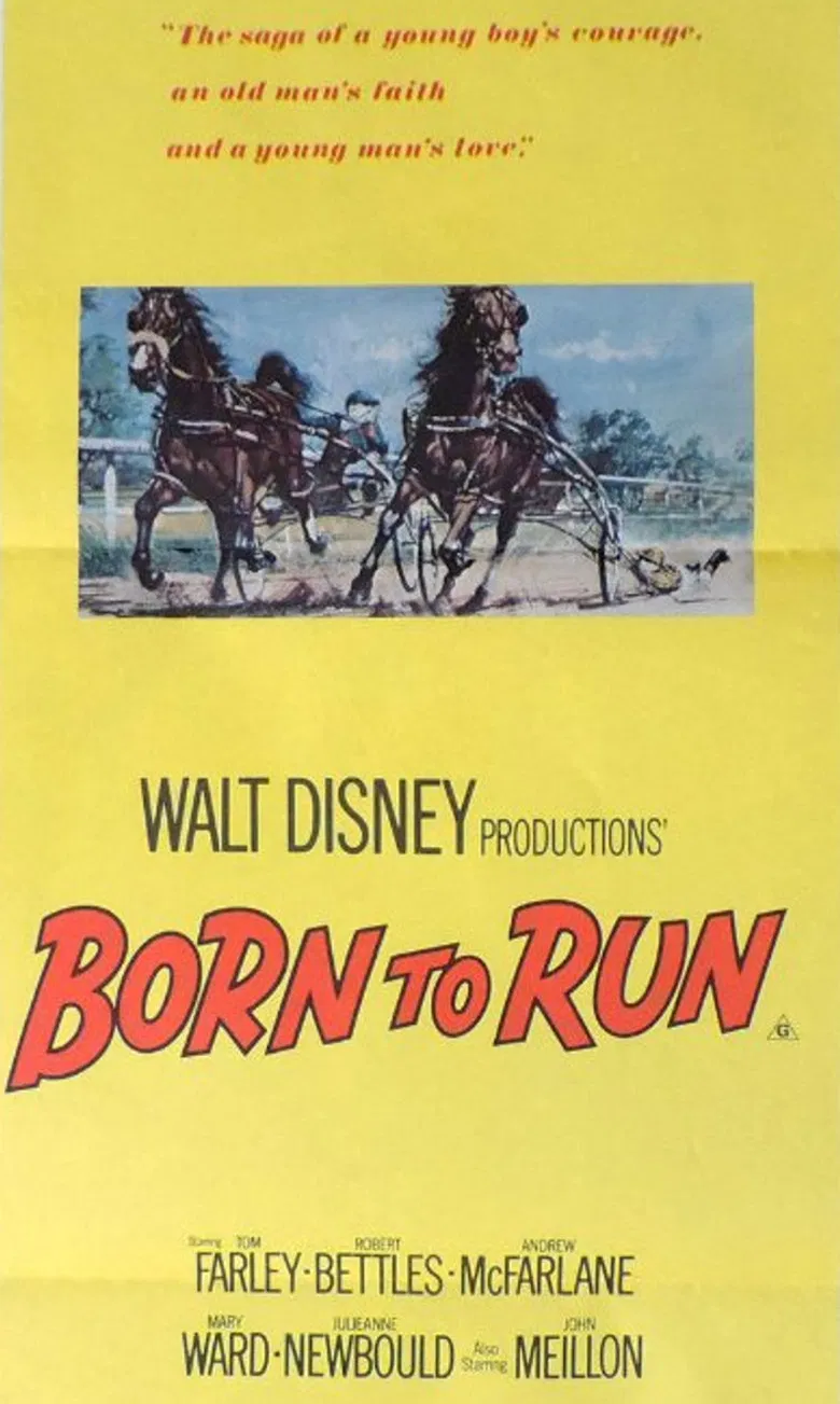 Born to Run poster background