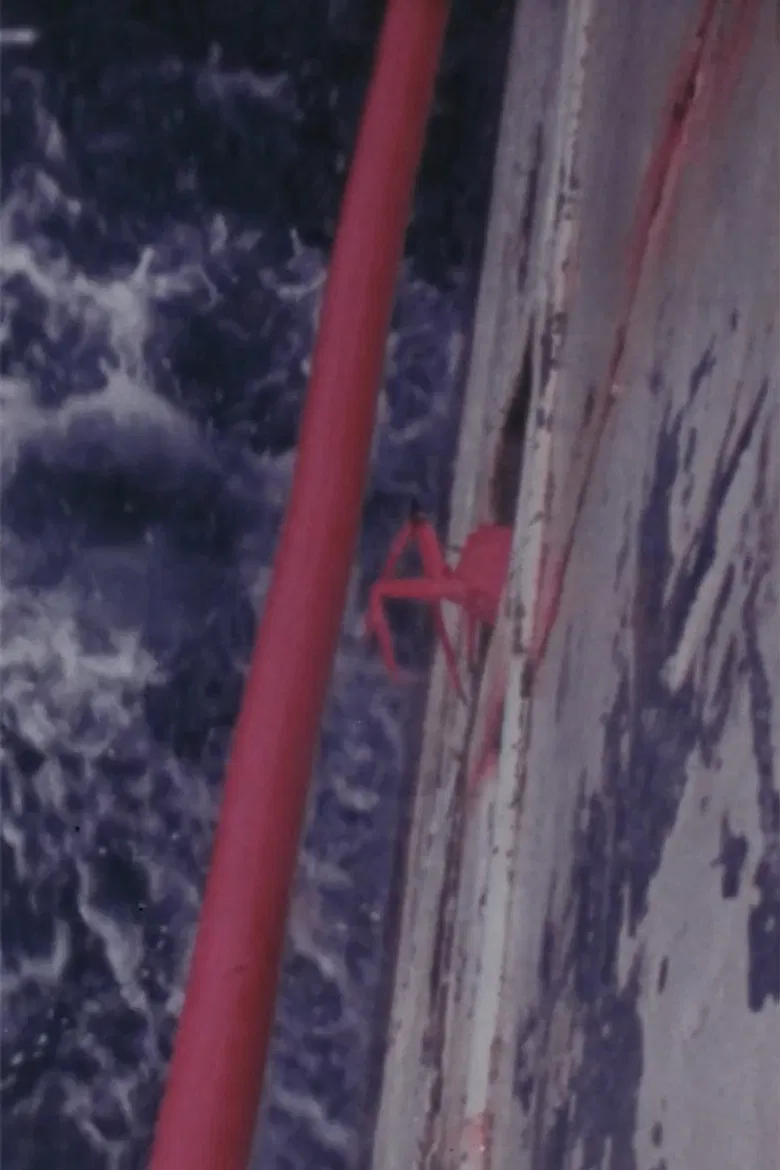 Gloucester Skipper poster background