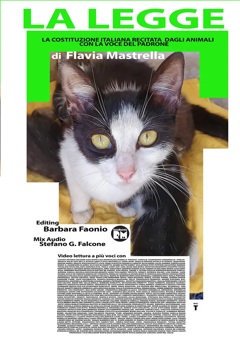 La legge – La Costituzione recitata dagli animali con la voce del padrone poster background