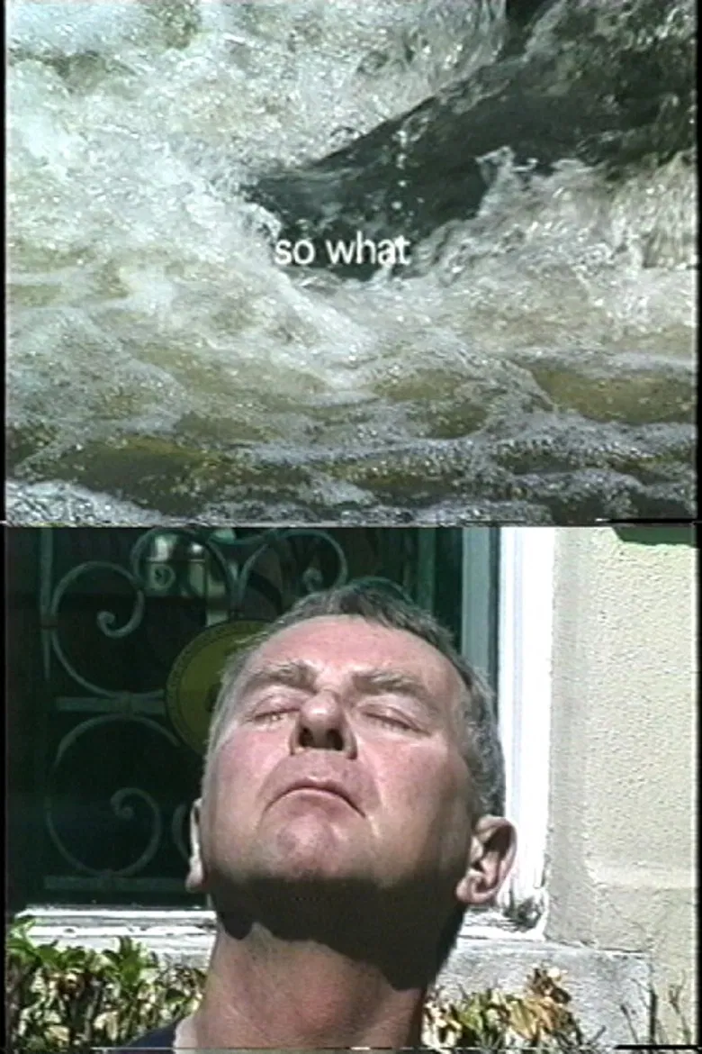 So What? poster background