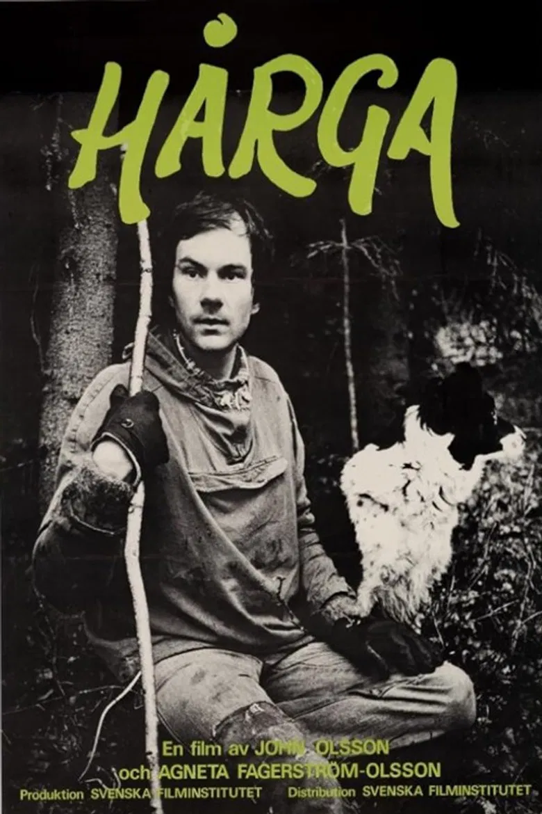Hårga poster background