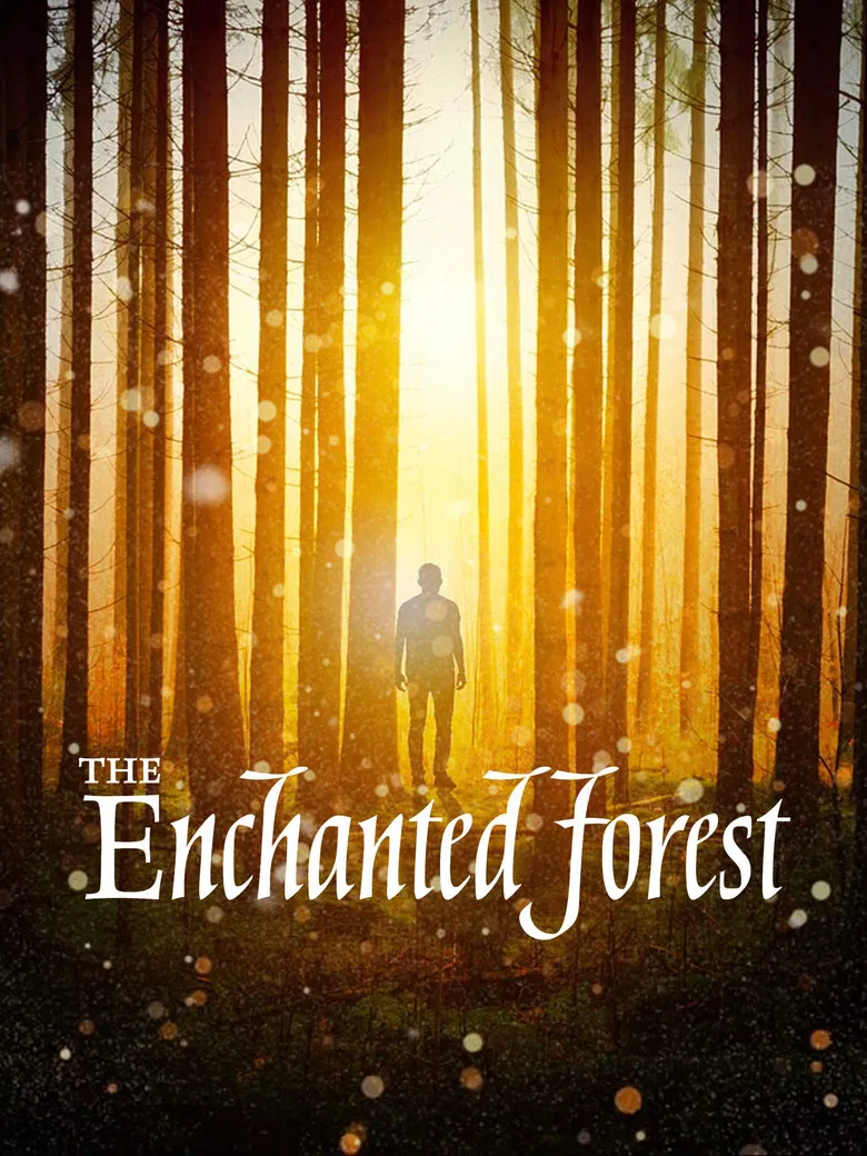 The Enchanted Forest poster background