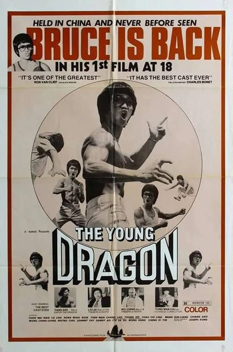 Young Dragon poster background