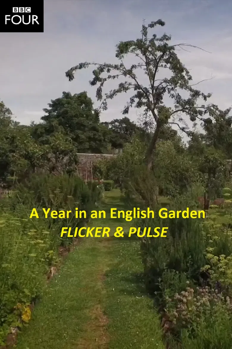 Flicker & Pulse poster background