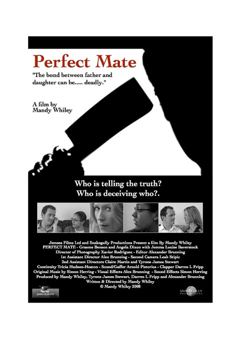 Perfect Mate poster background