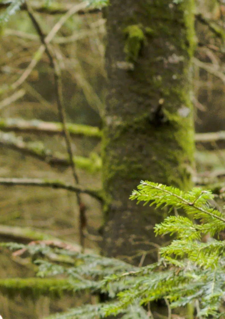 Coeur Glacé Battant poster background