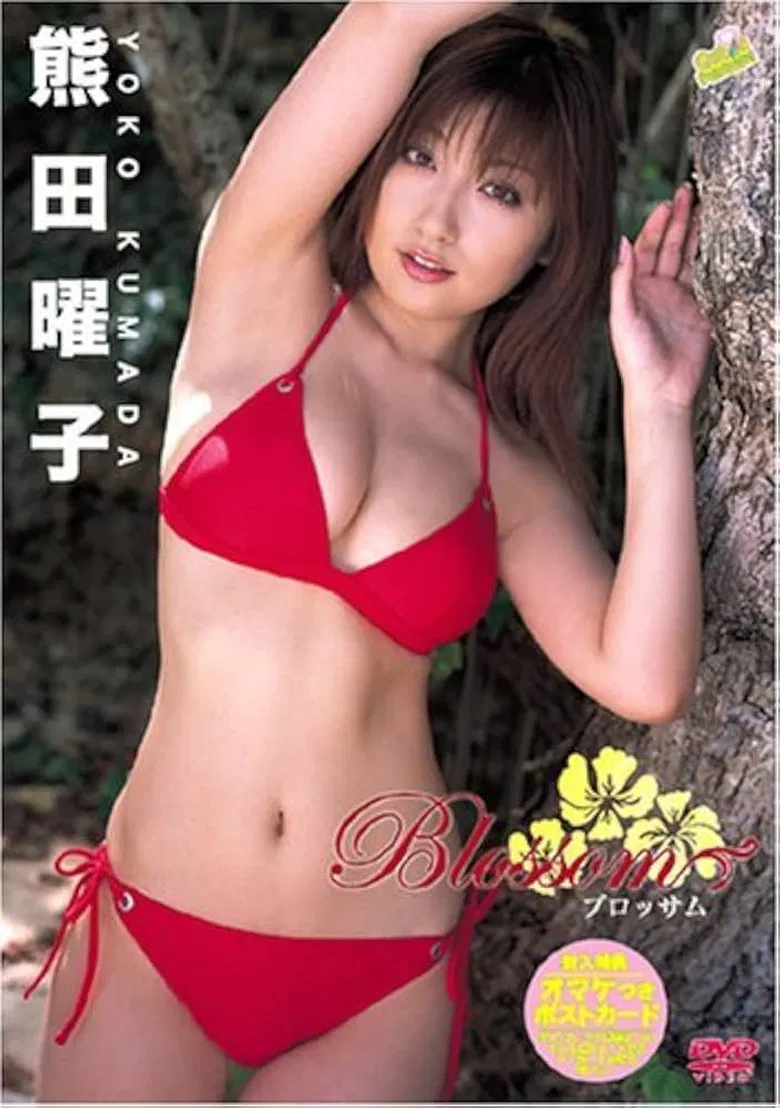 熊田曜子 Blossom poster background