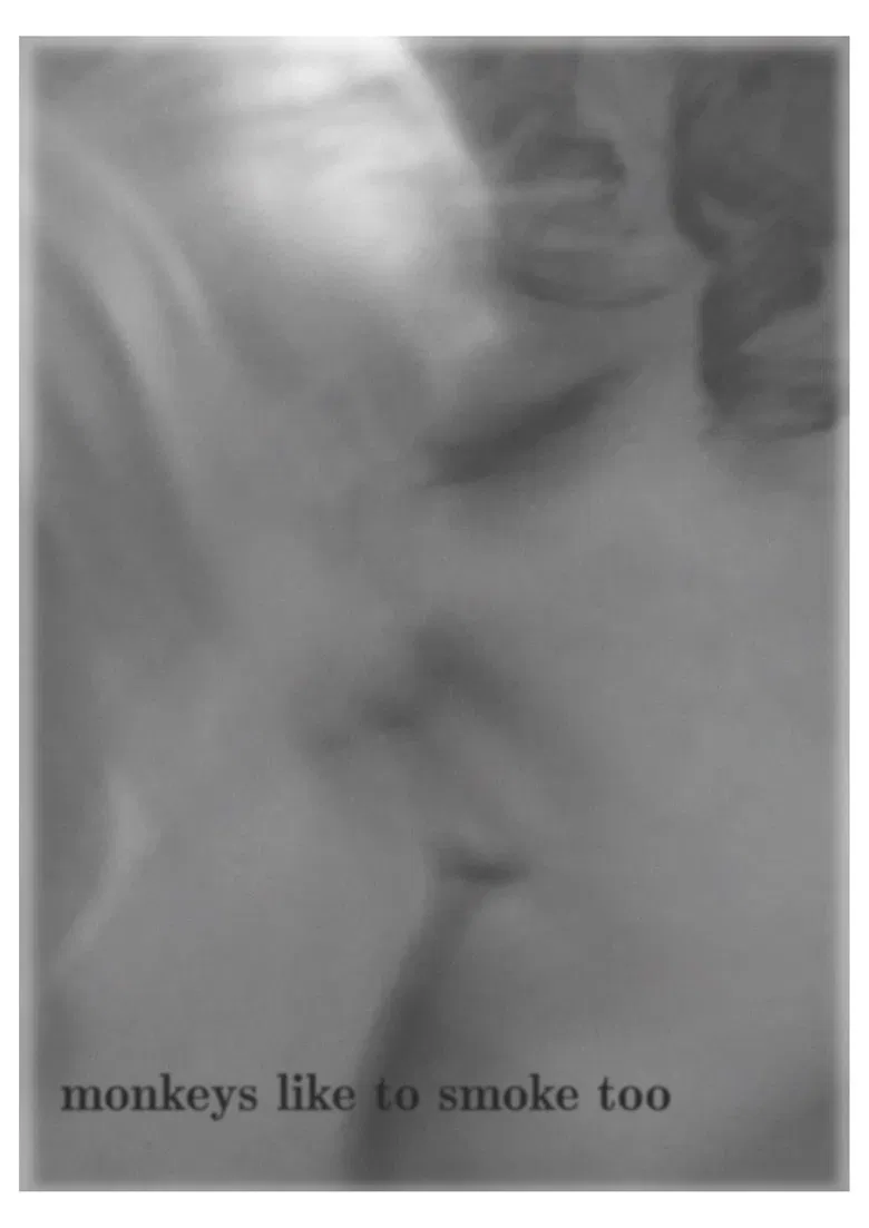 Monkeys Like to Smoke Too poster background