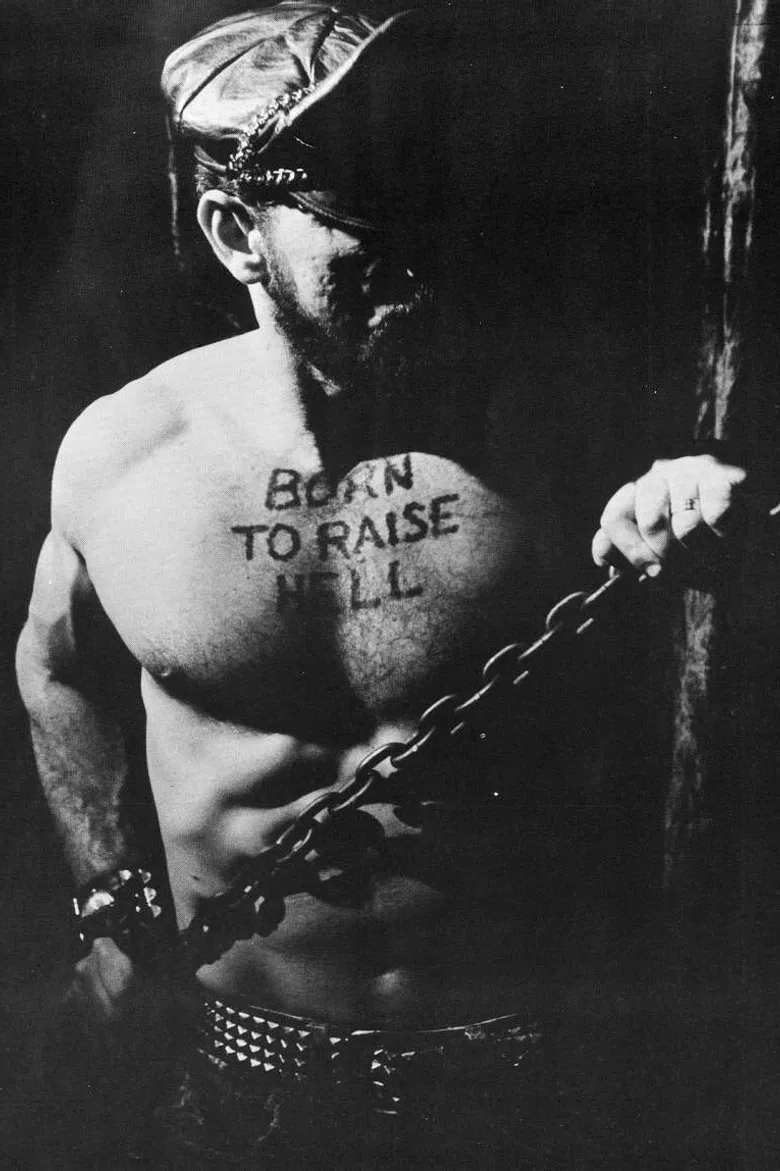 Born to Raise Hell poster background