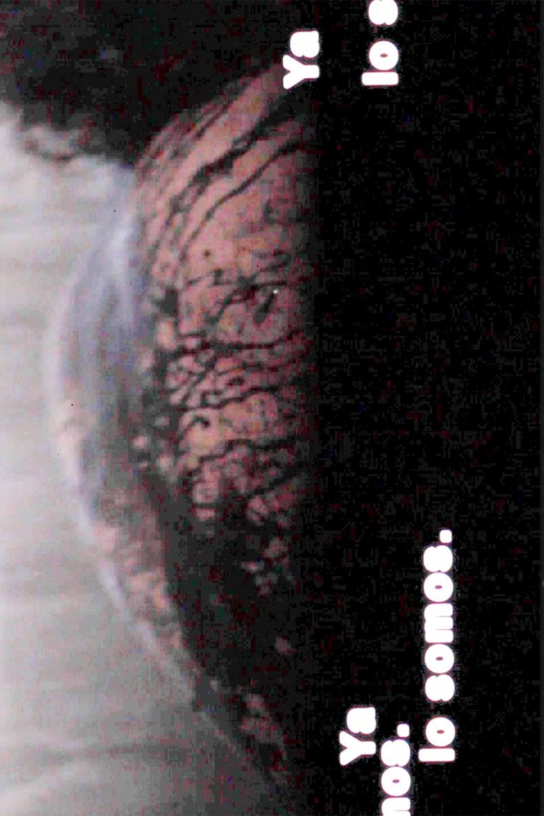 Ya lo somos poster background