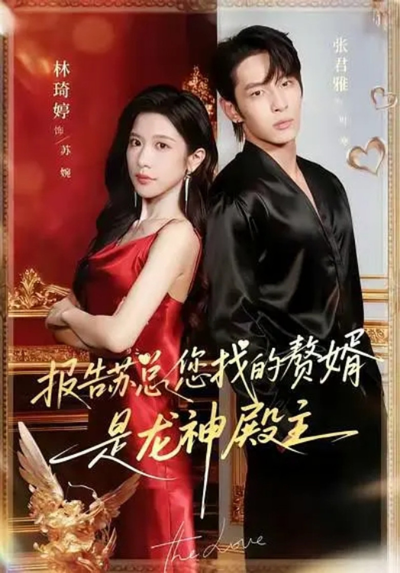 报告苏总，您找的赘婿是龙神殿主 poster background