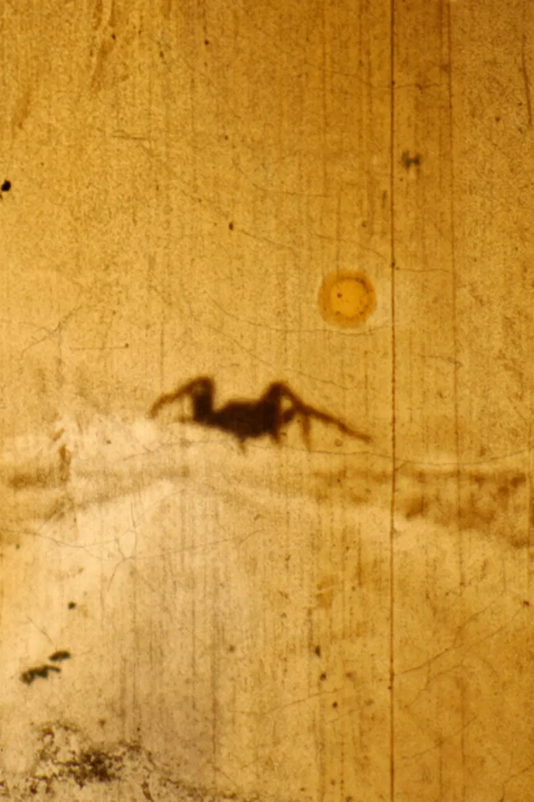 Bielefeld Lichtwerk poster background