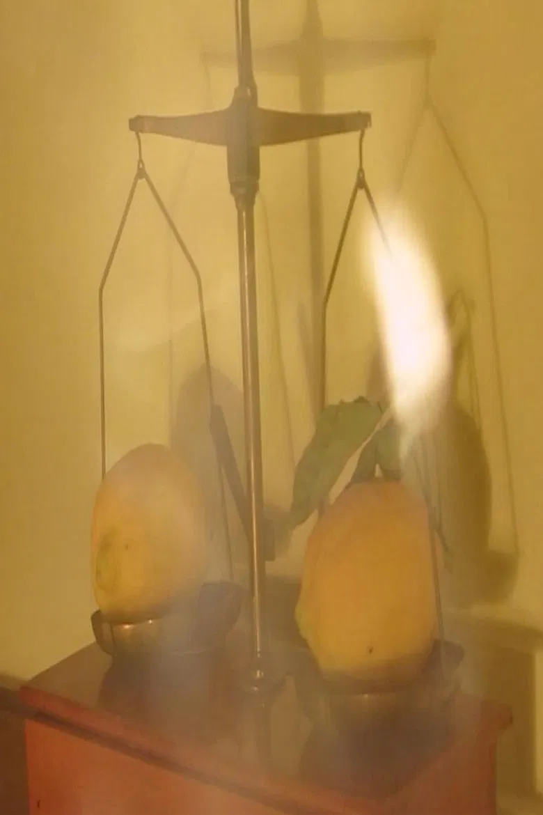 L'ABCDaire de l'amoureuse d'un photographe poster background