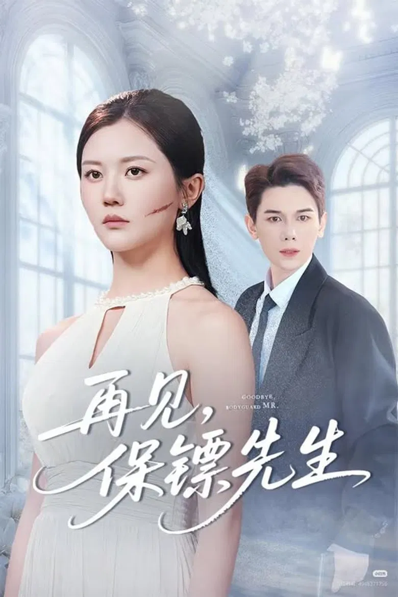 再见，保镖先生 poster background