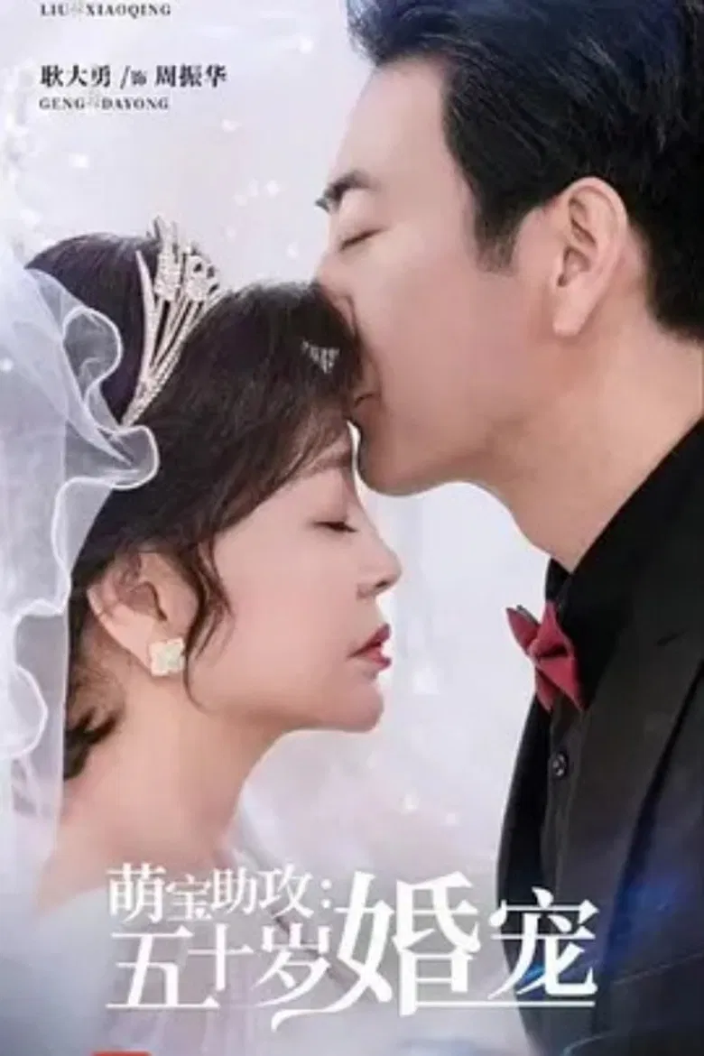 萌宝助攻：五十岁婚宠 poster background