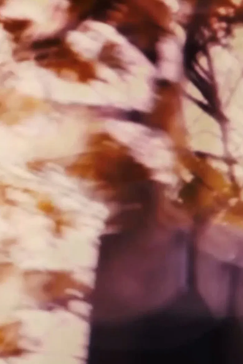 The Driveways of People's Houses poster background