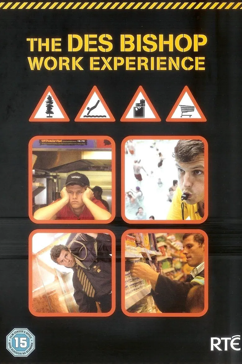 The Des Bishop Work Experience poster background