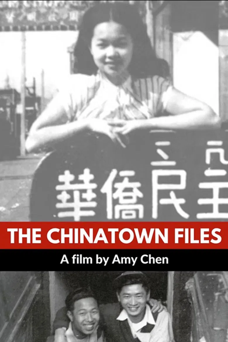 The Chinatown Files poster background