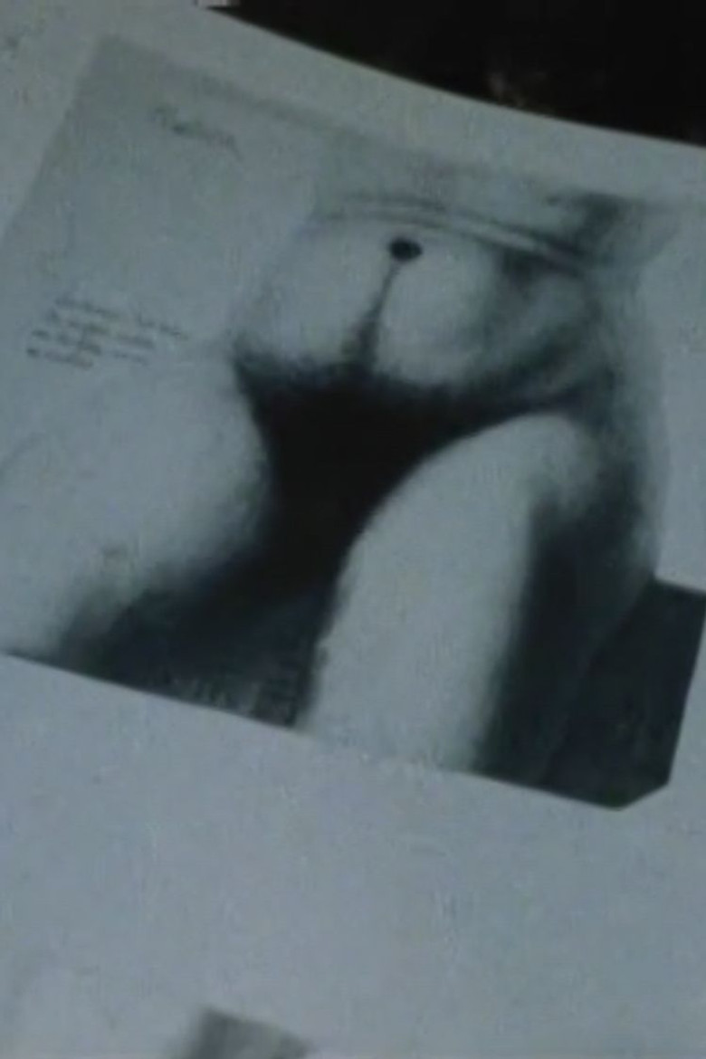 Run Away To Savage Field poster background