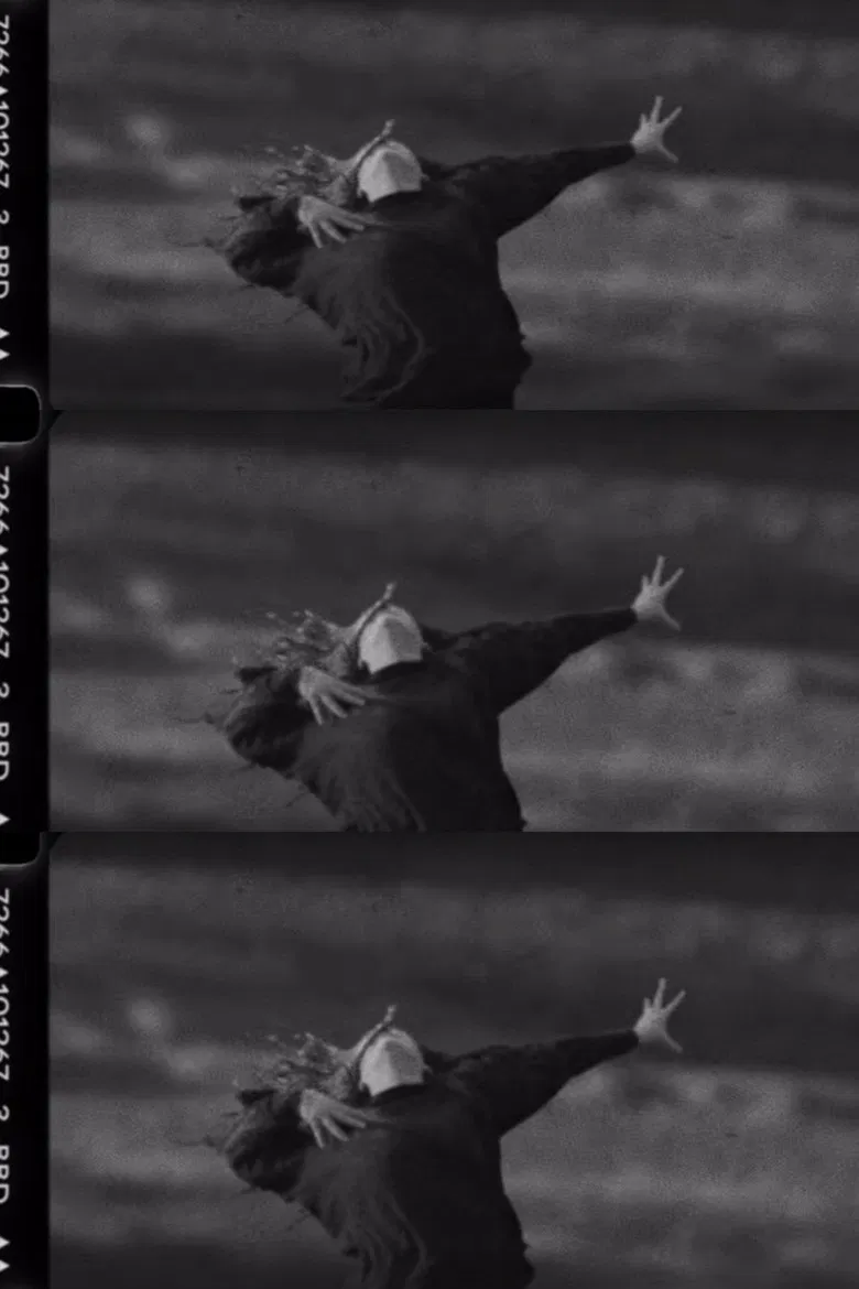 Big Black Delta: Summoner poster background